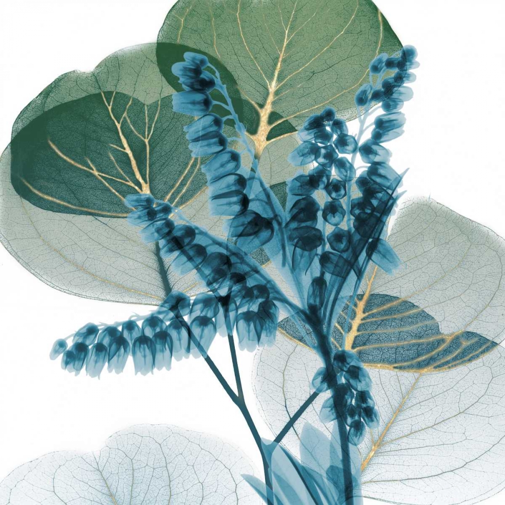 Golden Lilly Of Eucalyptus 2 art print by Albert Koetsier for $57.95 CAD