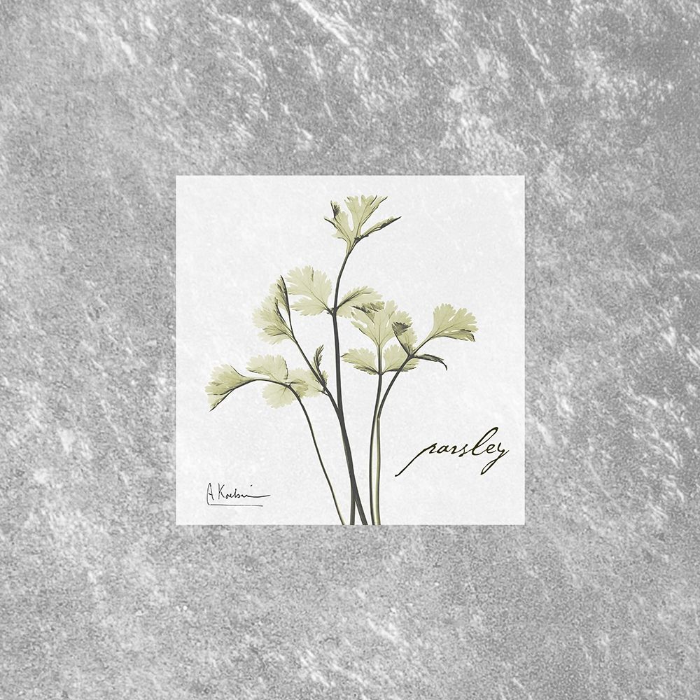 Stunning Parsley art print by Albert Koetsier for $57.95 CAD