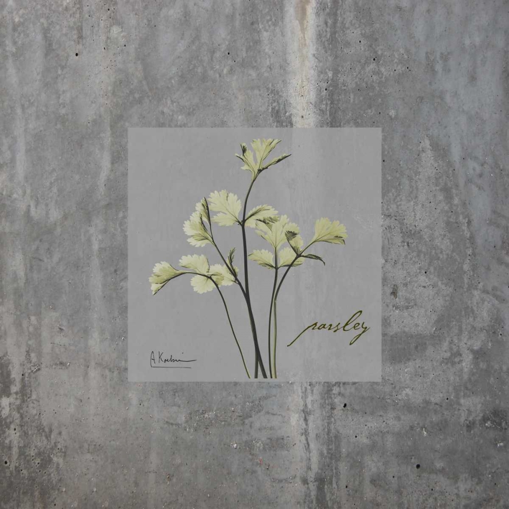 Concrete Parsley art print by Albert Koetsier for $57.95 CAD