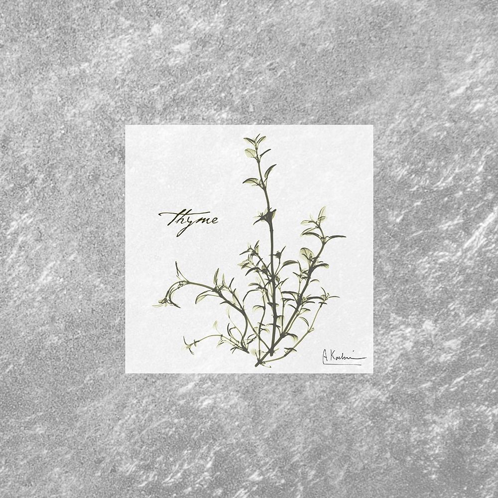 Stunning Thyme art print by Albert Koetsier for $57.95 CAD