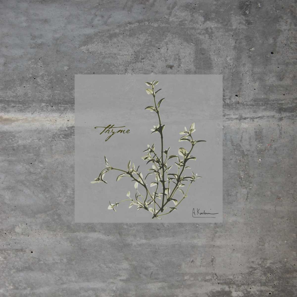 Concrete Thyme art print by Albert Koetsier for $57.95 CAD