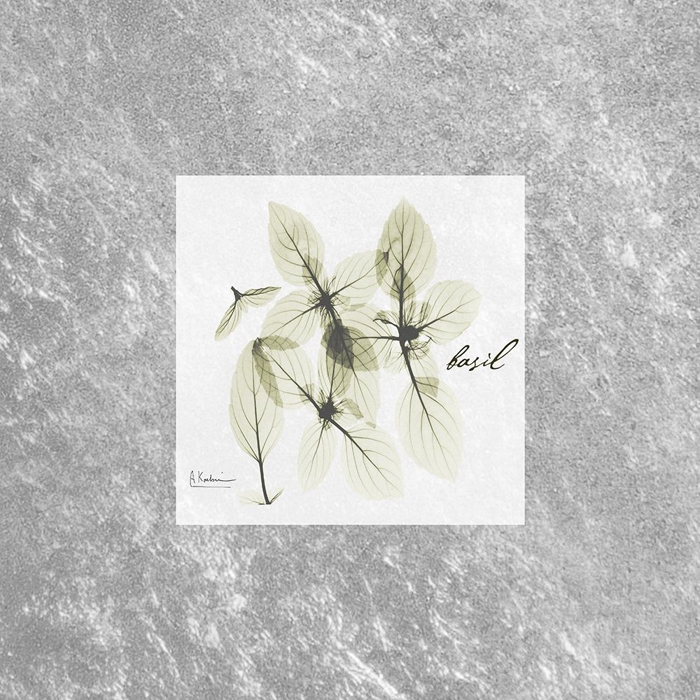 Stunning Basil art print by Albert Koetsier for $57.95 CAD