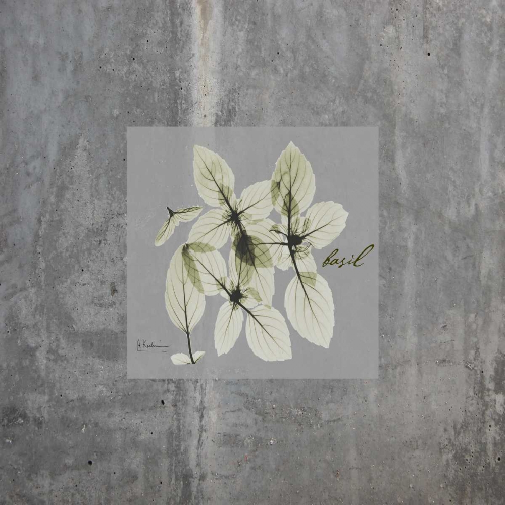 Concrete Basil art print by Albert Koetsier for $57.95 CAD