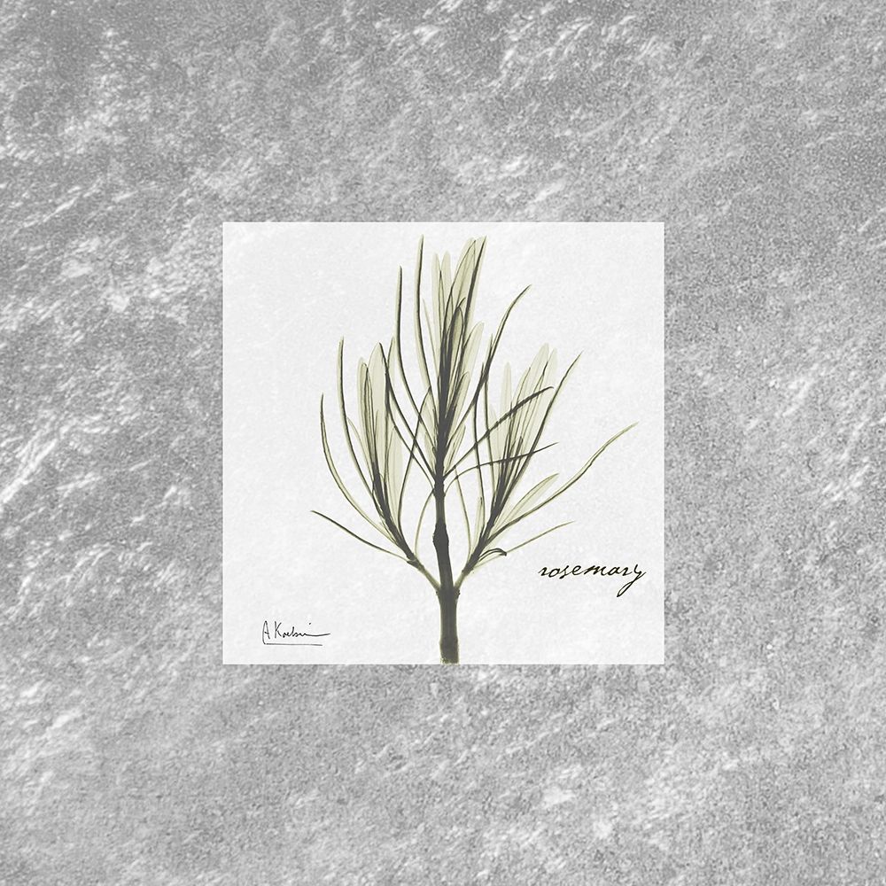 Stunning Rosemary art print by Albert Koetsier for $57.95 CAD