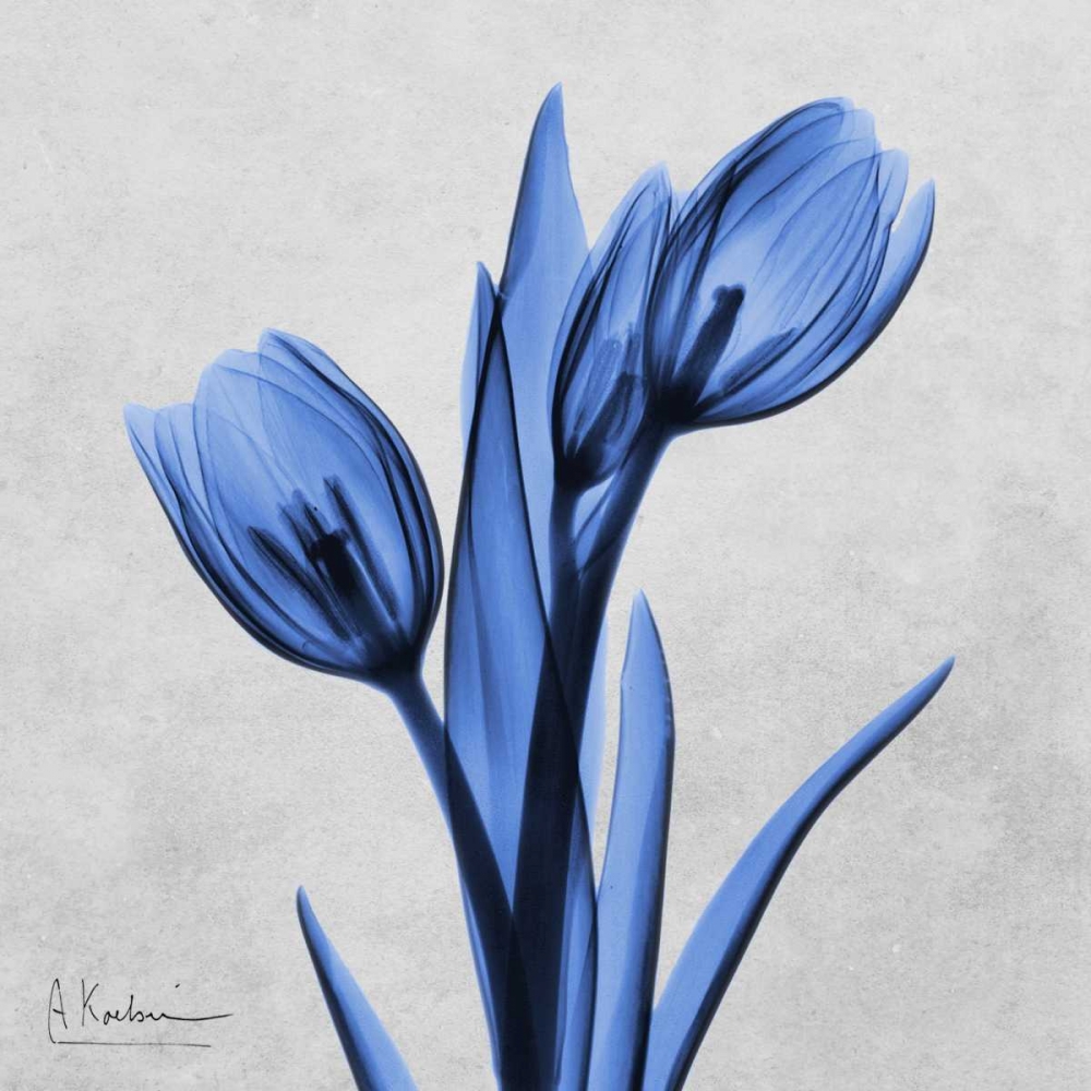 Midnight Tulips art print by Albert Koetsier for $57.95 CAD