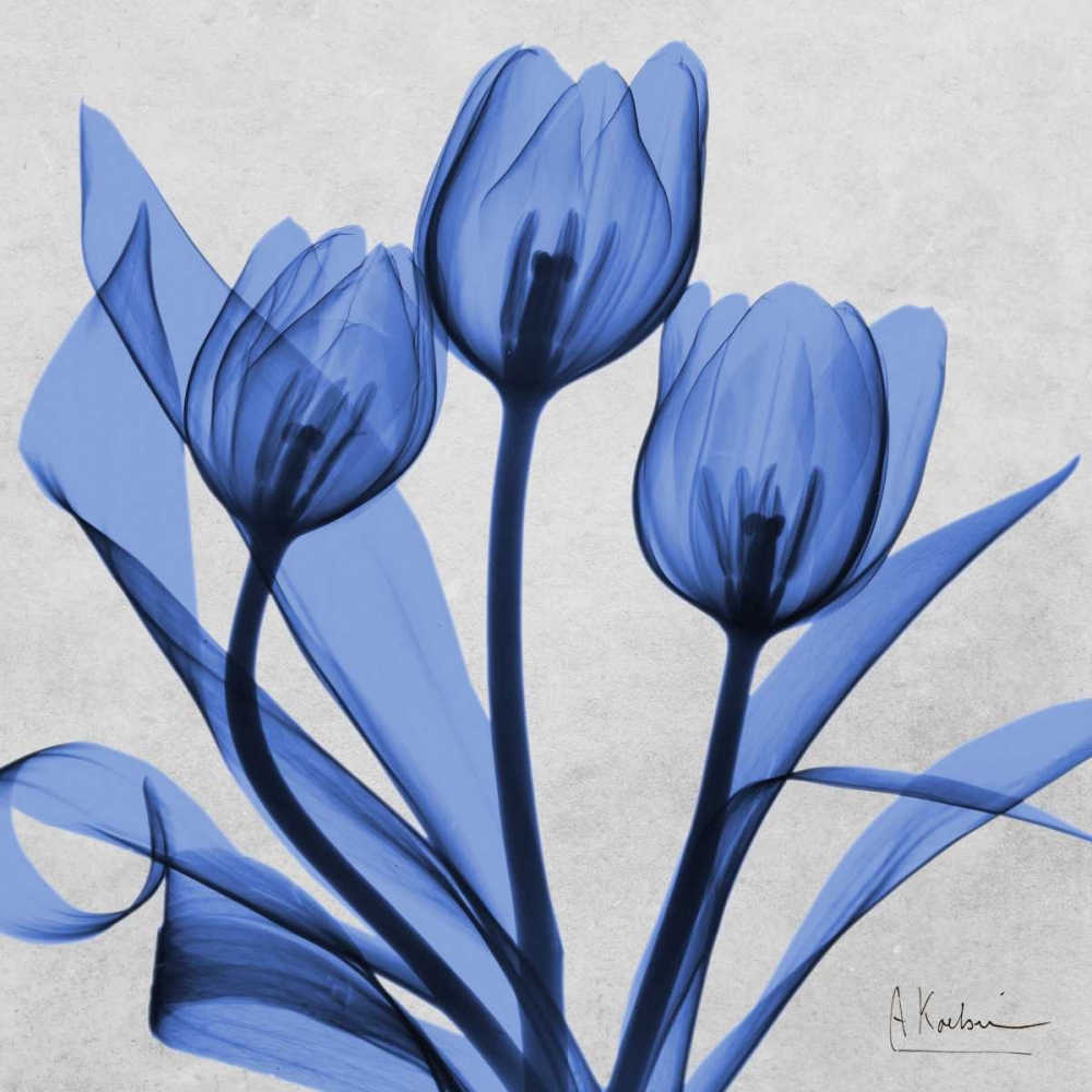 Midnight tulips 2 art print by Albert Koetsier for $57.95 CAD
