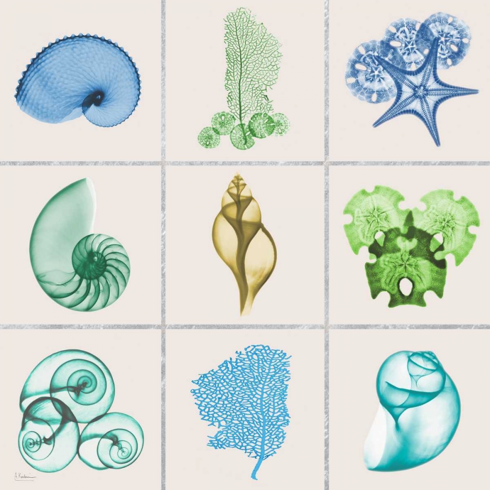 Sealife 9 Patch art print by Albert Koetsier for $57.95 CAD