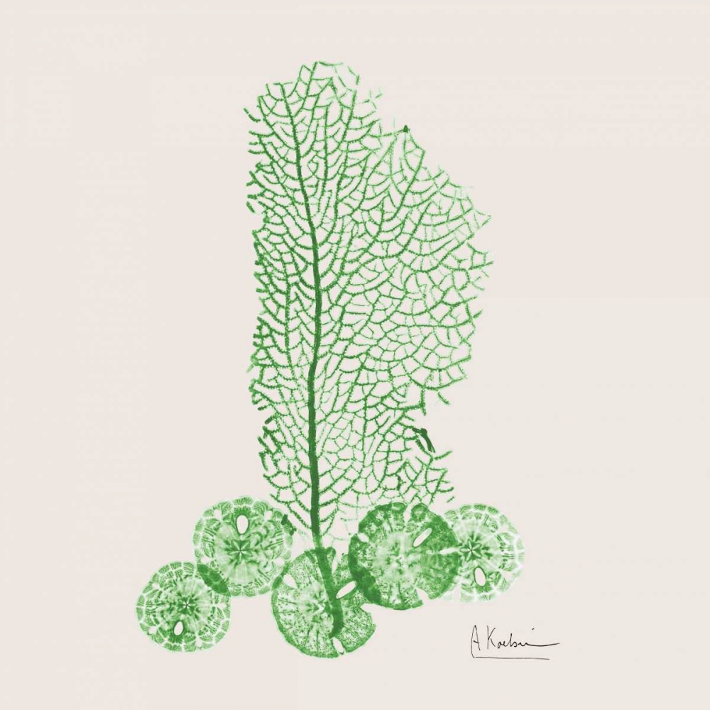 Emerald Sea Fan and Sand Dollar art print by Albert Koetsier for $57.95 CAD