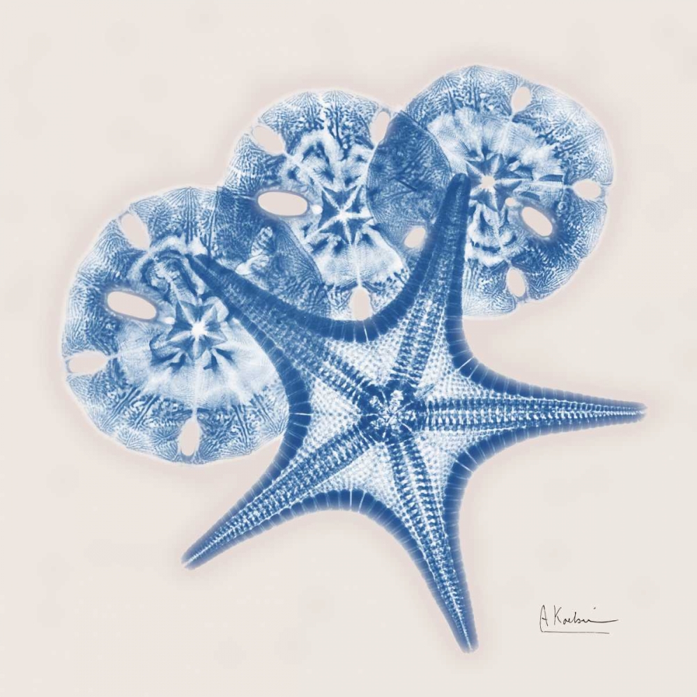 Cerulean Starfish and Sand Dollar art print by Albert Koetsier for $57.95 CAD