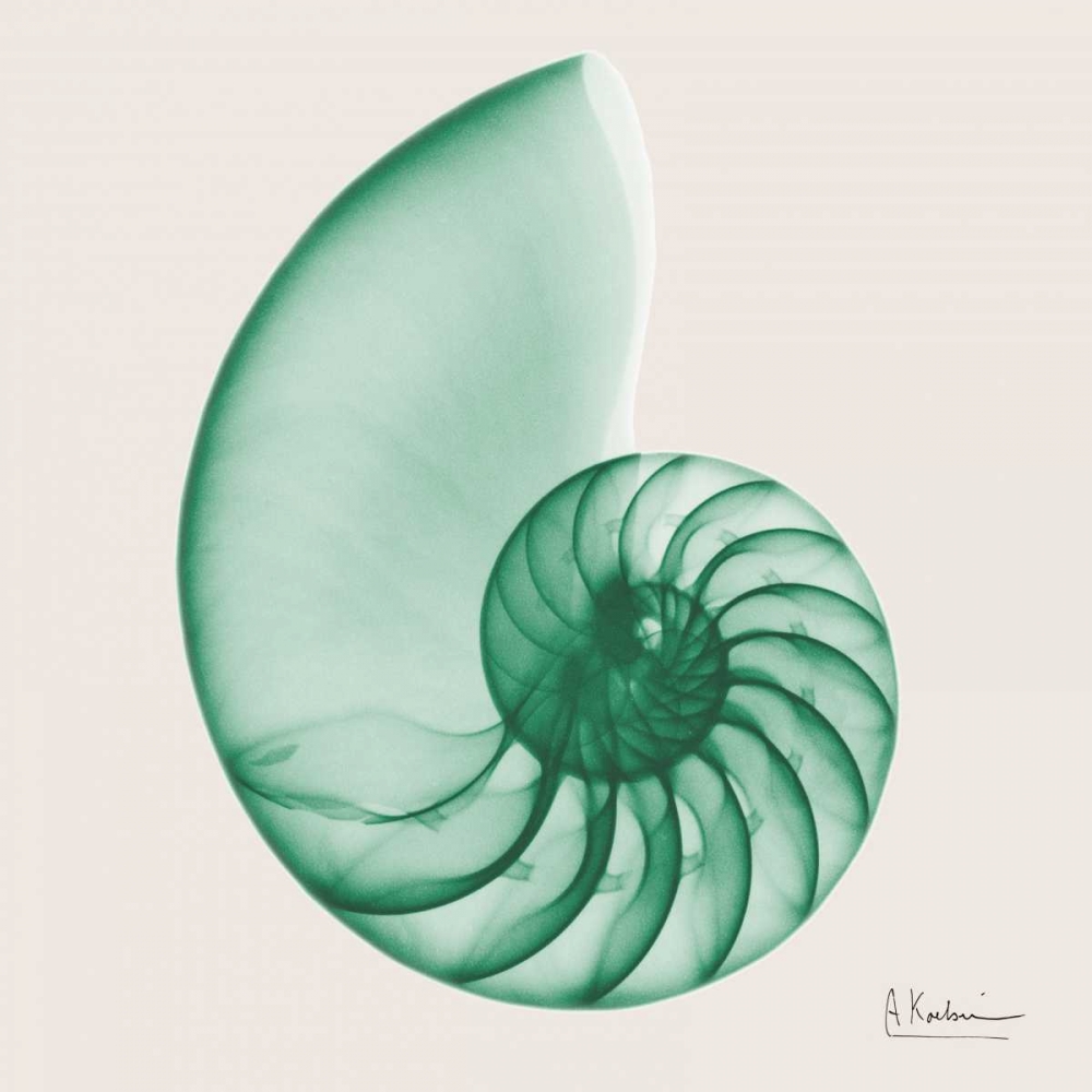 Jade Water Snail art print by Albert Koetsier for $57.95 CAD