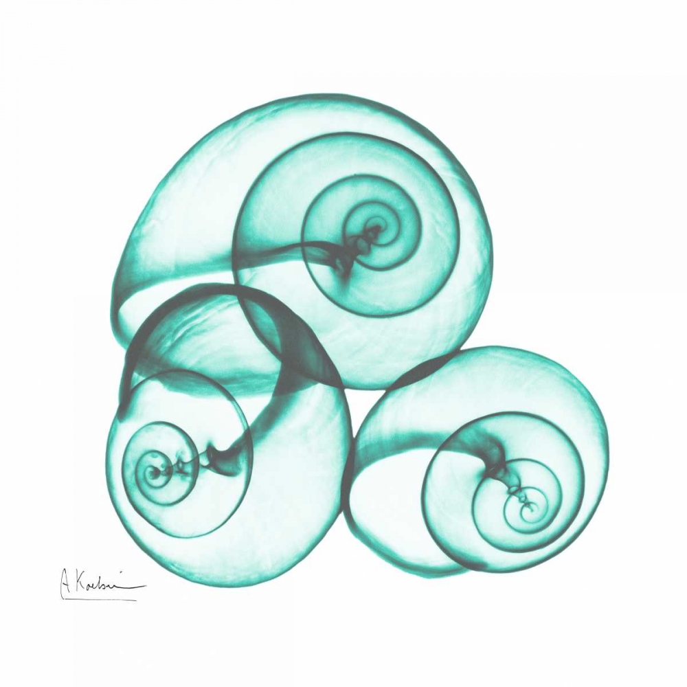 Shamrock Sky Snails 2 art print by Albert Koetsier for $57.95 CAD