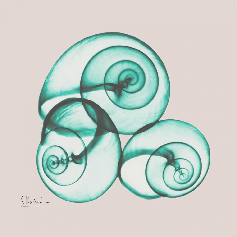 Shamrock Sky Snails art print by Albert Koetsier for $57.95 CAD