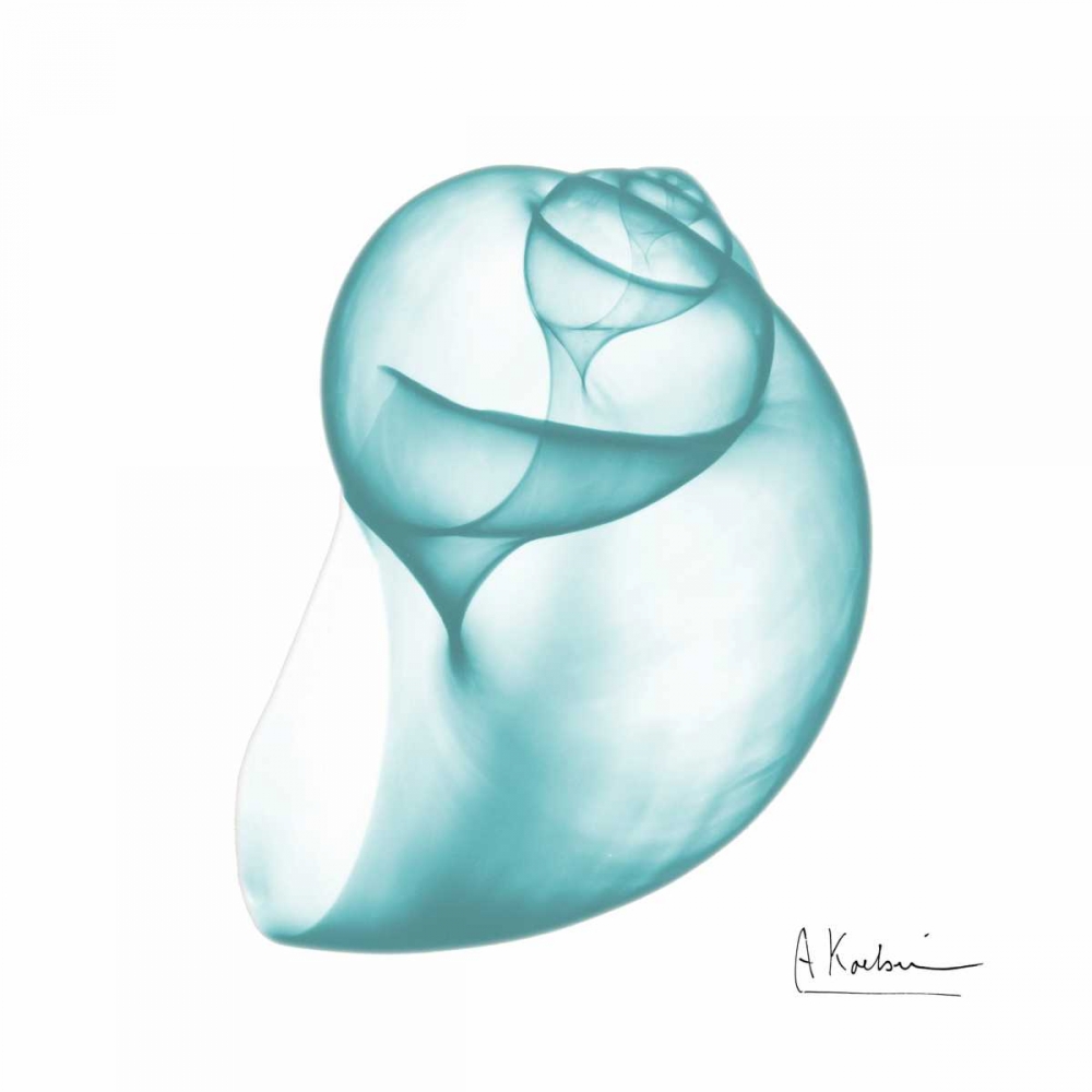 Viridian Water Snail 2 art print by Albert Koetsier for $57.95 CAD