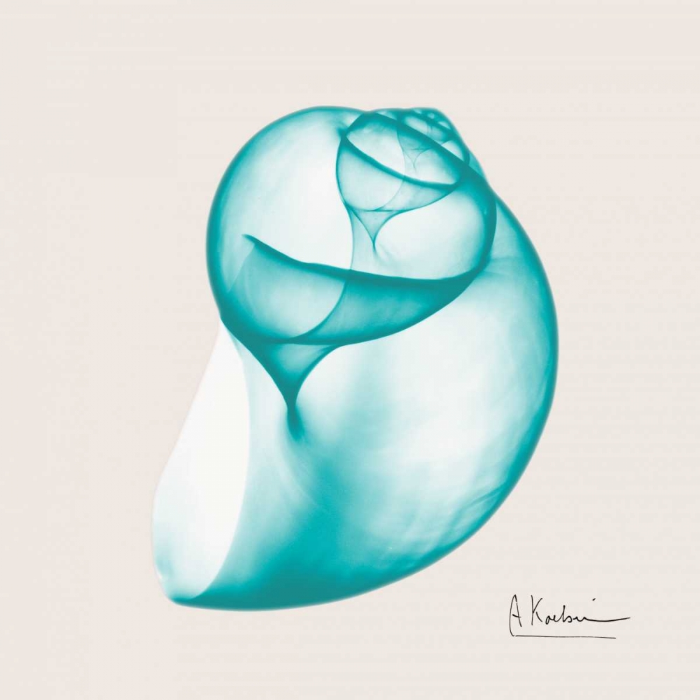Viridian Water Snail art print by Albert Koetsier for $57.95 CAD