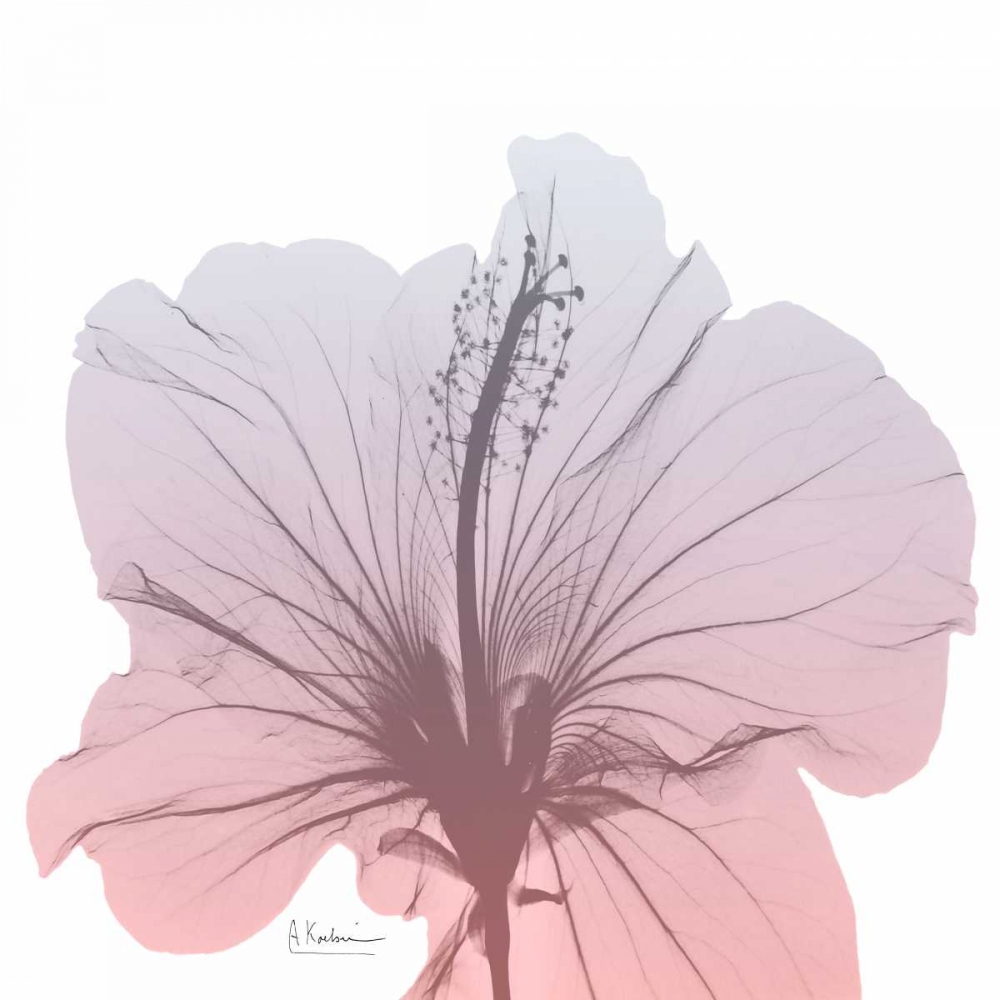 Serene Sunset 1 art print by Albert Koetsier for $57.95 CAD