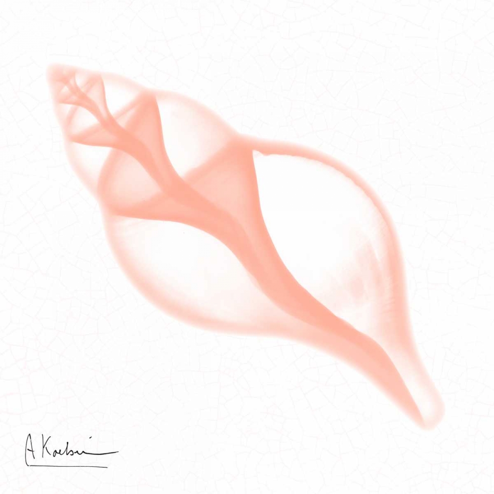 Dry Shell Peach art print by Albert Koetsier for $57.95 CAD