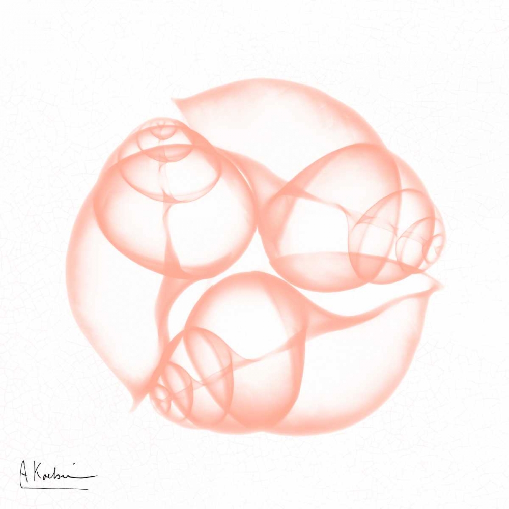 Dry Snail Peach art print by Albert Koetsier for $57.95 CAD