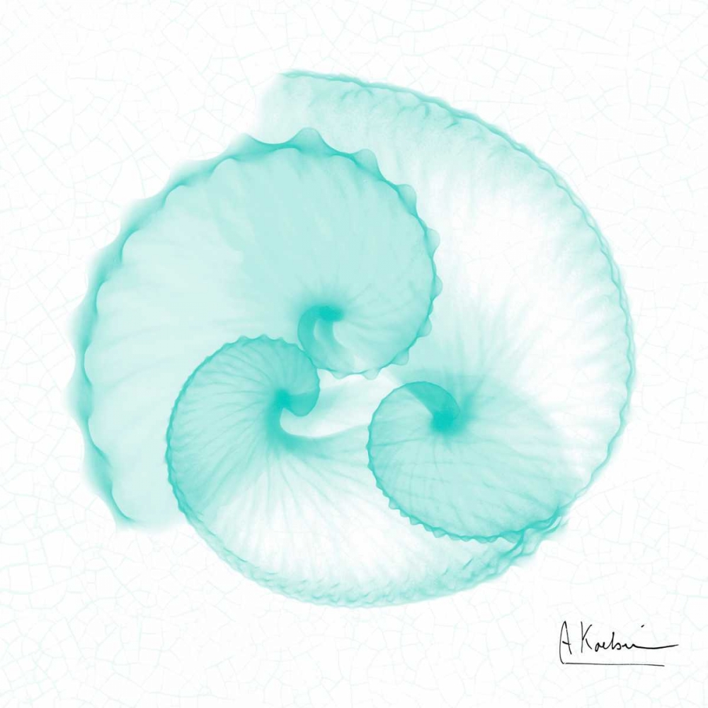Dry Argonaut Seafoam art print by Albert Koetsier for $57.95 CAD