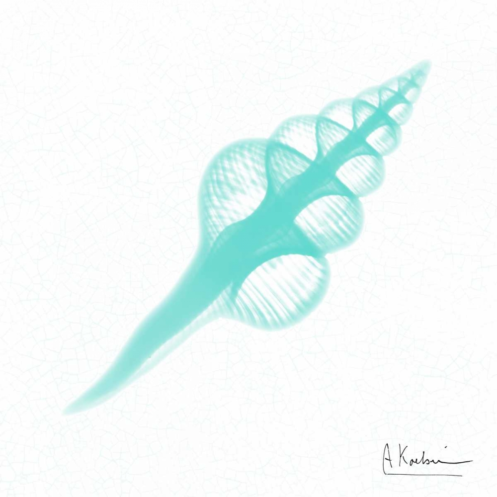 Dry Fusinus Colus Seafoam art print by Albert Koetsier for $57.95 CAD