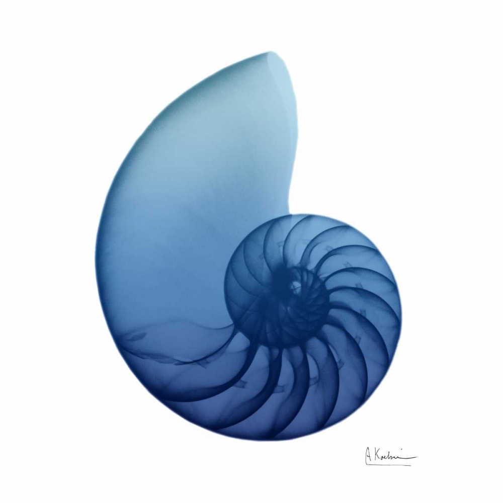 Scenic Water Snail 3 art print by Albert Koetsier for $57.95 CAD