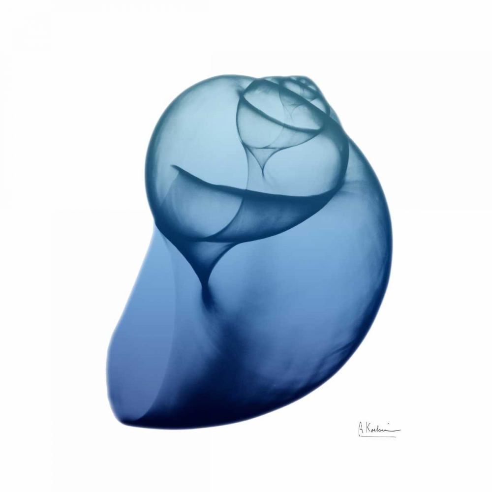 Scenic Water Snail 4 art print by Albert Koetsier for $57.95 CAD