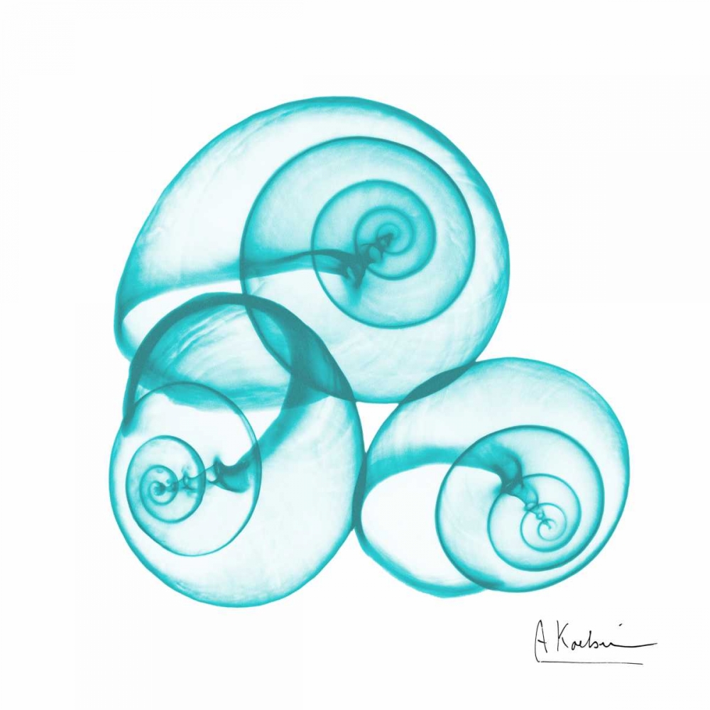 Turquoise Sky Snails art print by Albert Koetsier for $57.95 CAD