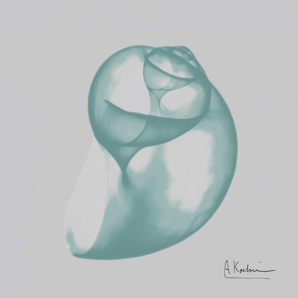 Aquifer Water Snail art print by Albert Koetsier for $57.95 CAD