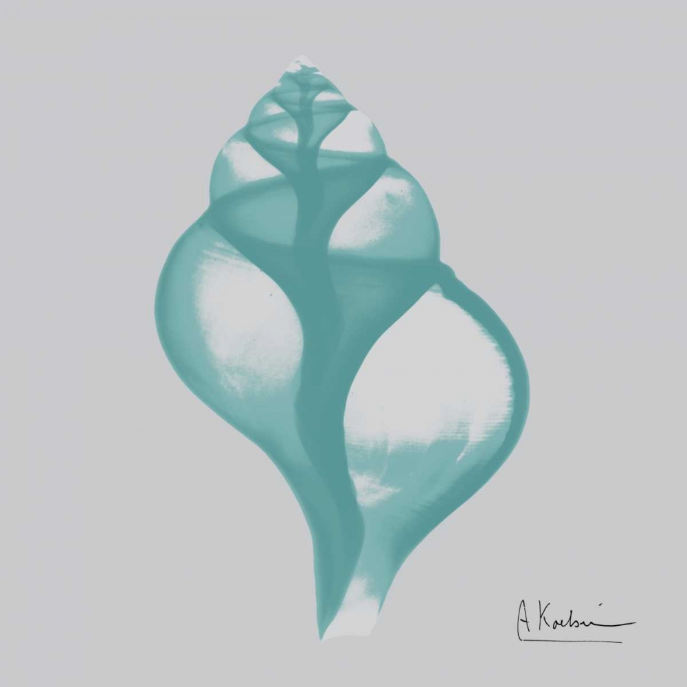 Aquifer Tulip Shell art print by Albert Koetsier for $57.95 CAD