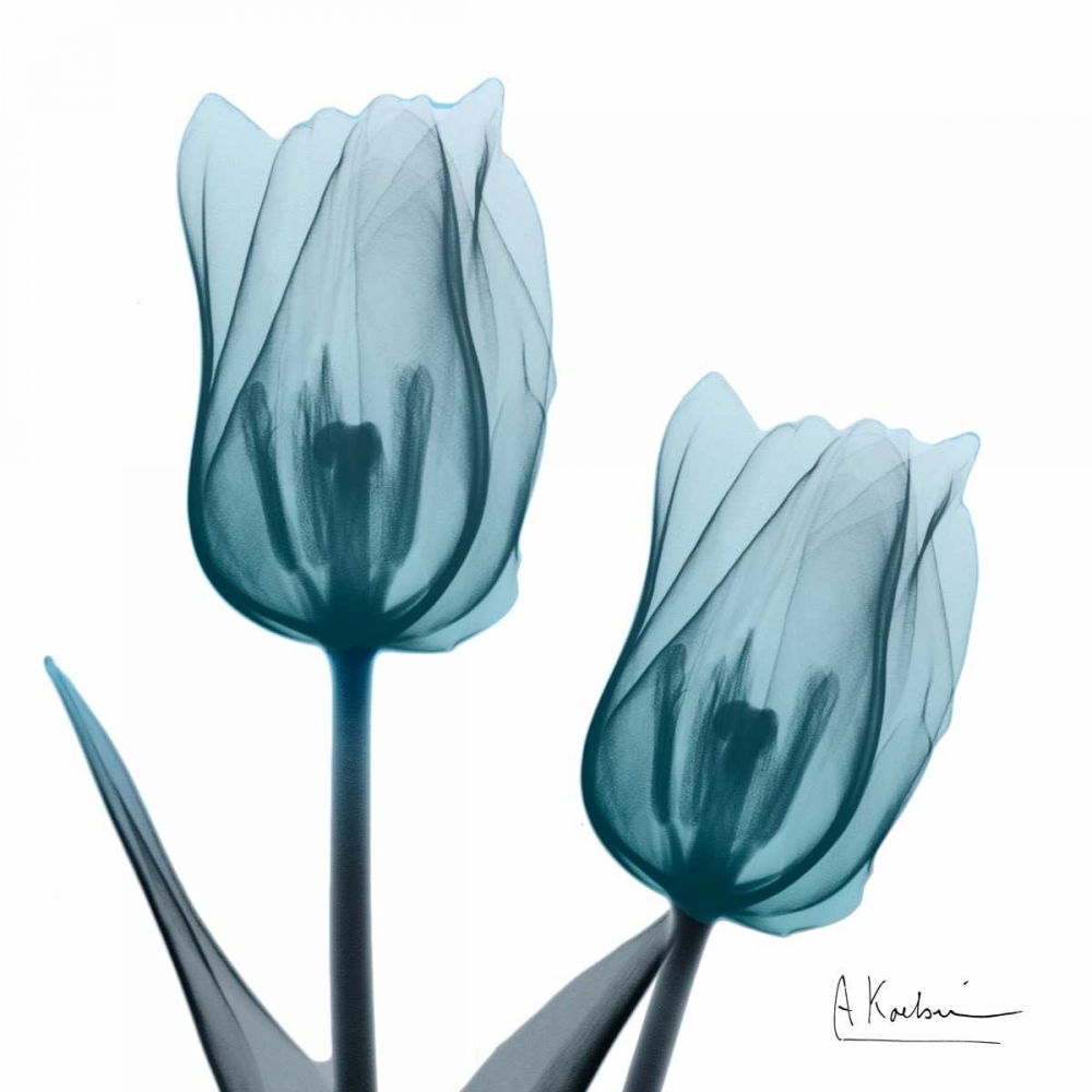 Midnight Sky Duo 2 art print by Albert Koetsier for $57.95 CAD