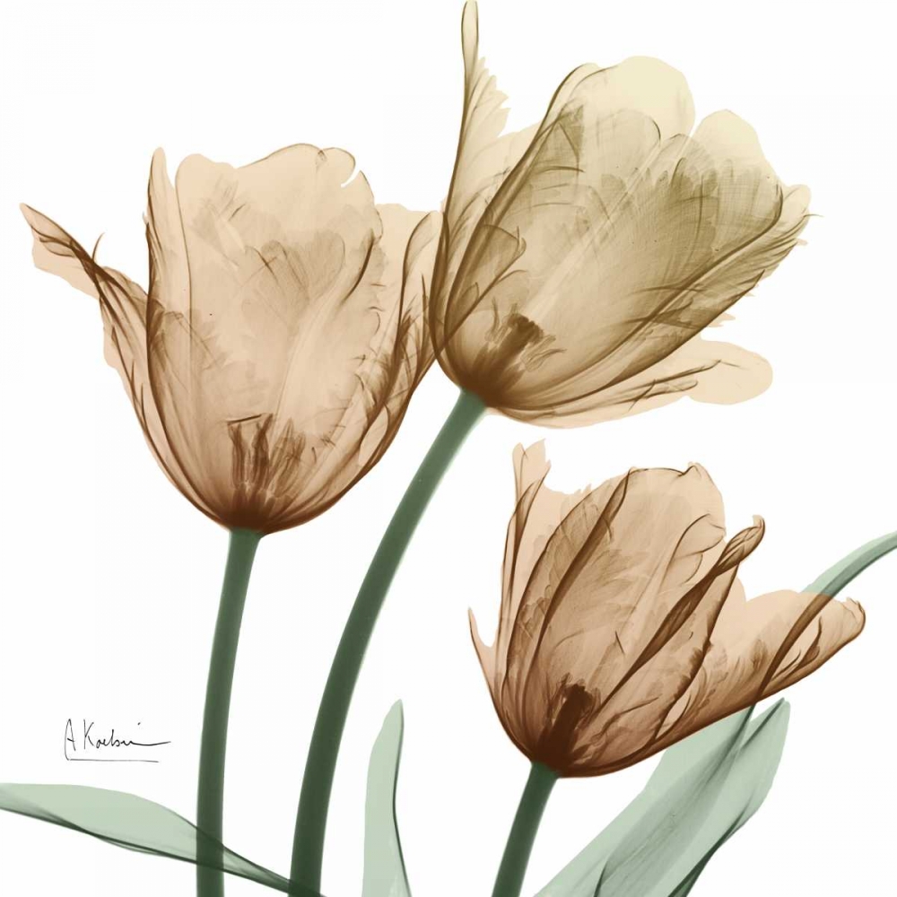 Autumn Tulips 1 art print by Albert Koetsier for $57.95 CAD