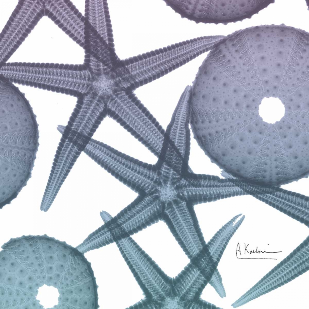 Lavender Dipped Starfish 1 art print by Albert Koetsier for $57.95 CAD