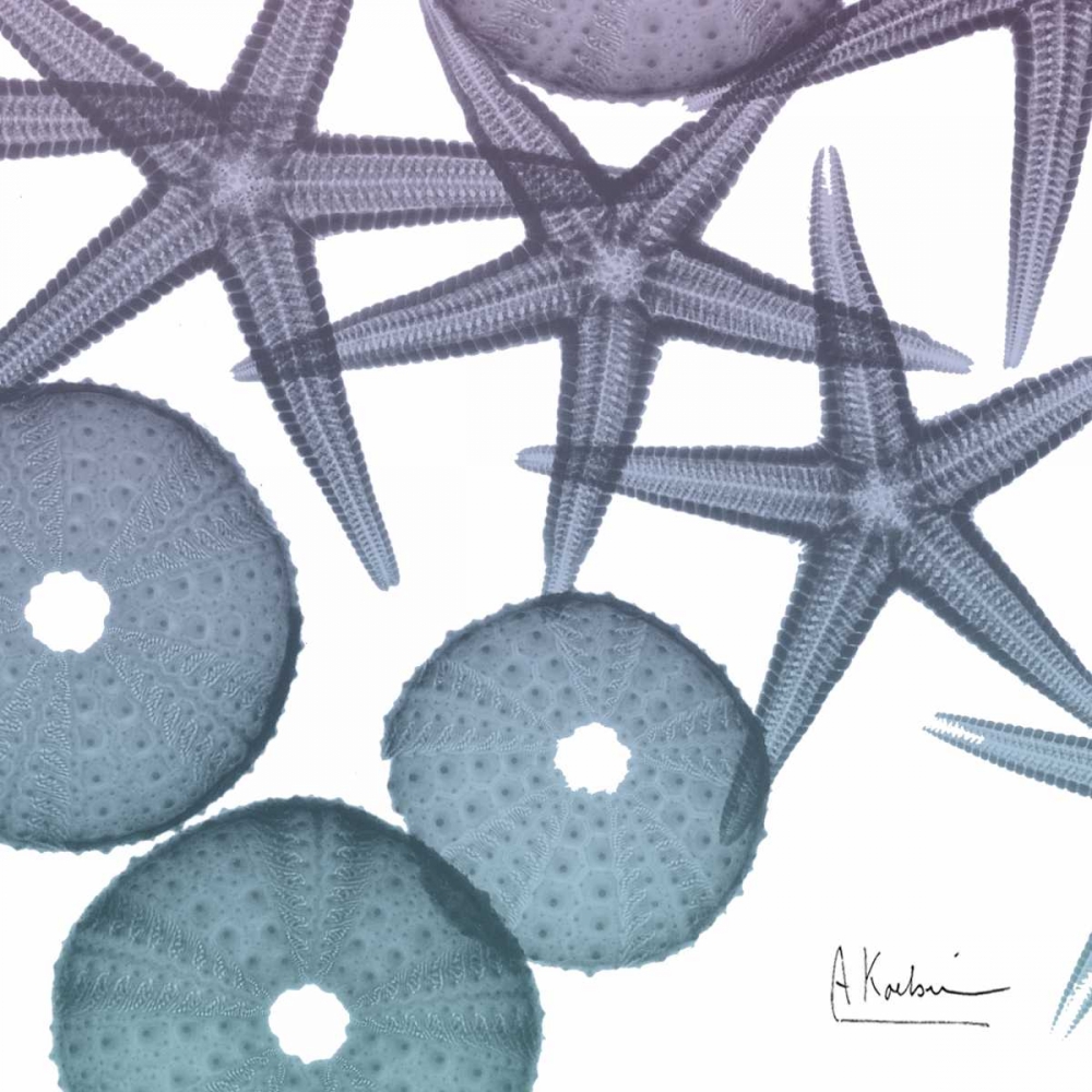 Lavender Dipped Starfish 2 art print by Albert Koetsier for $57.95 CAD