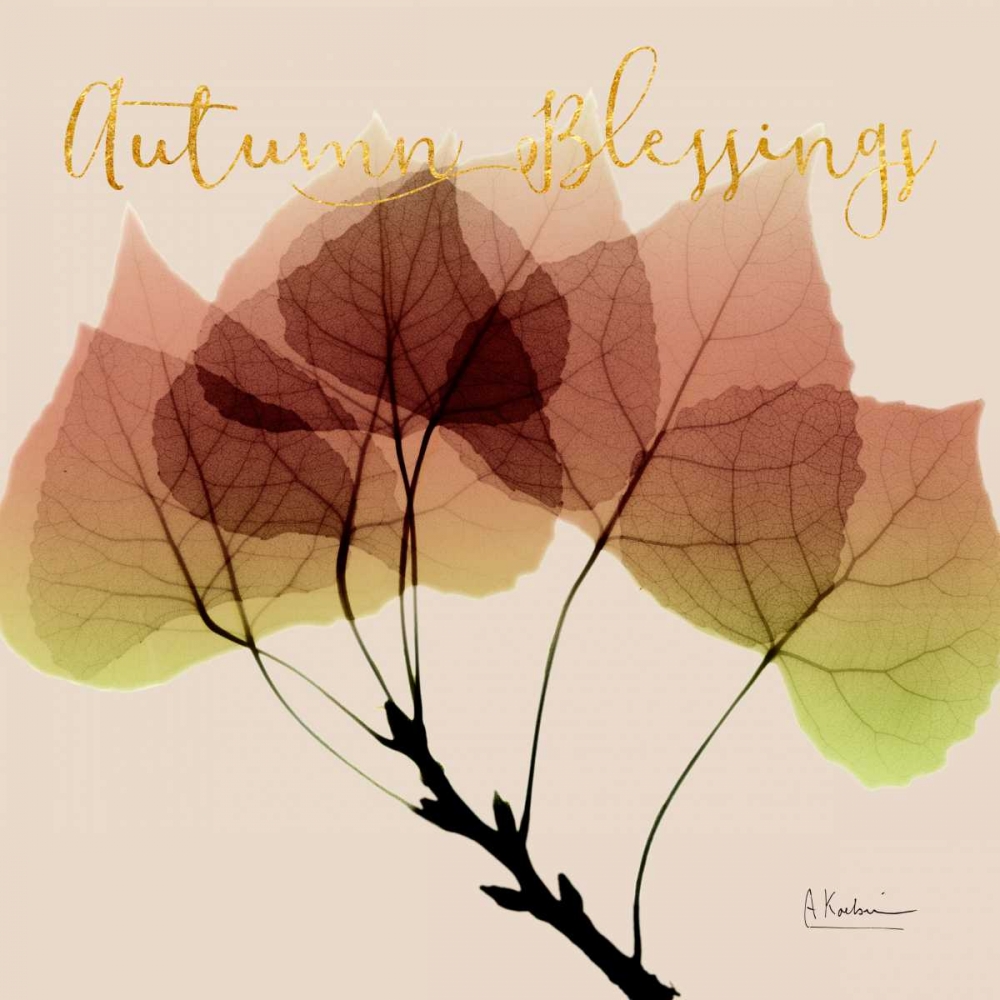 Blessed Aspen art print by Albert Koetsier for $57.95 CAD