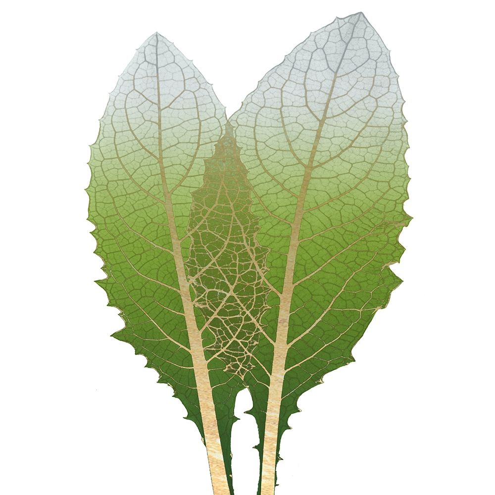 Golden Artichoke art print by Albert Koetsier for $57.95 CAD
