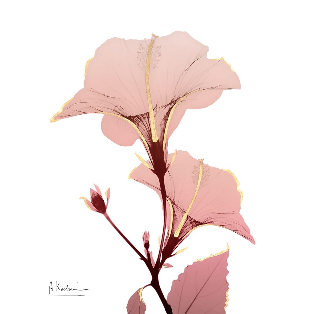 Golden Blush 1 art print by Albert Koetsier for $57.95 CAD