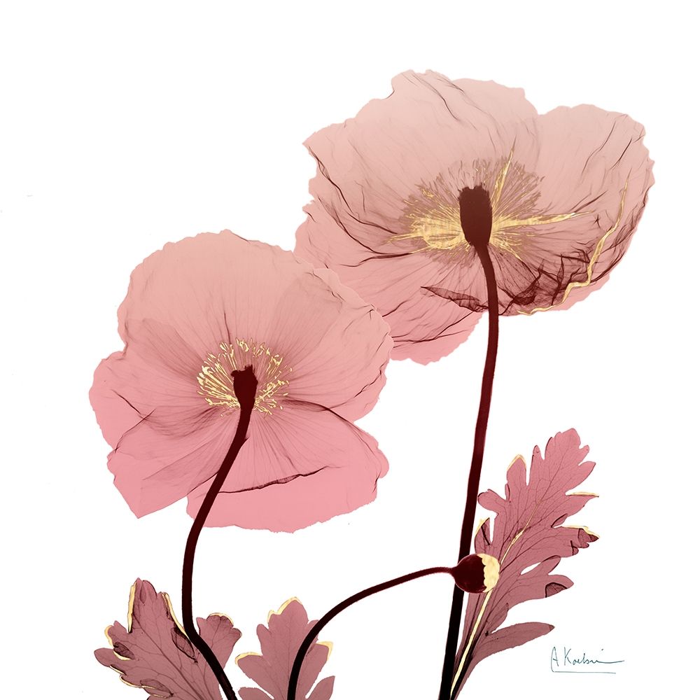 Golden Blush 2 art print by Albert Koetsier for $57.95 CAD