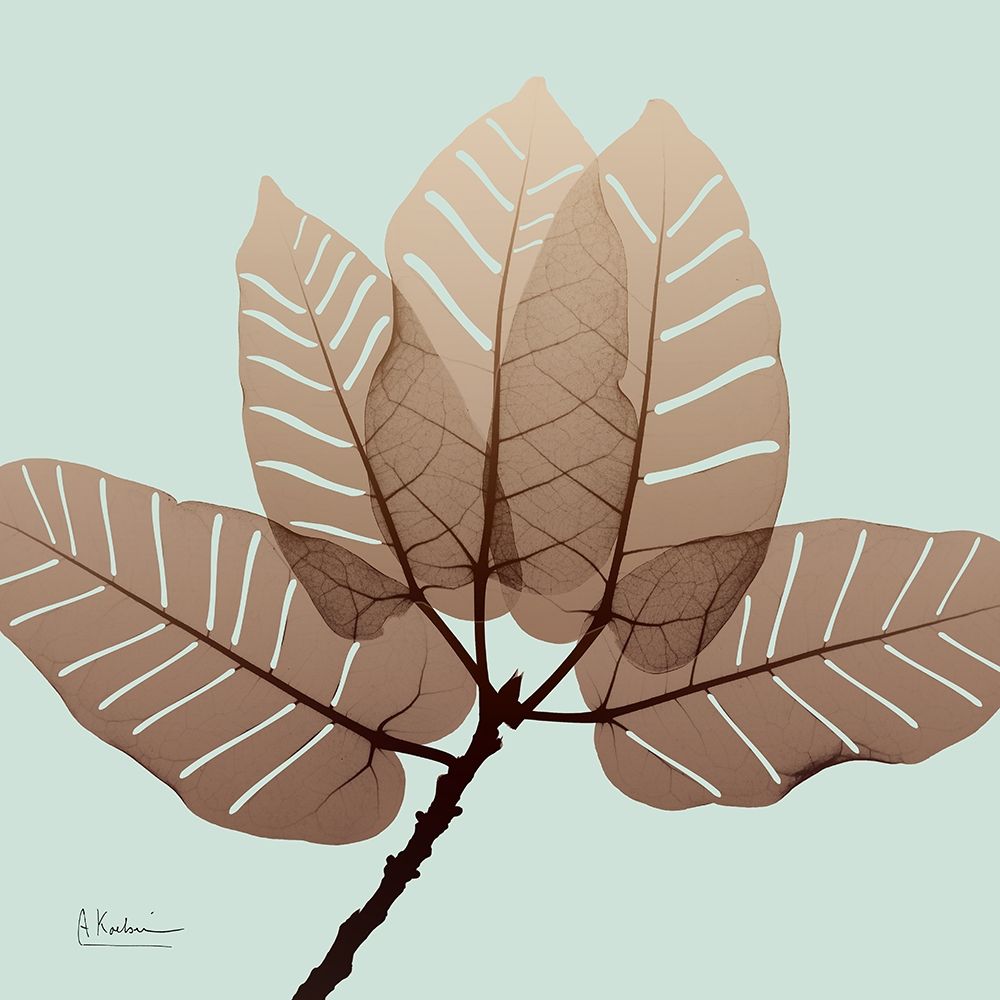 Chopped Ficus Burkey art print by Albert Koetsier for $57.95 CAD