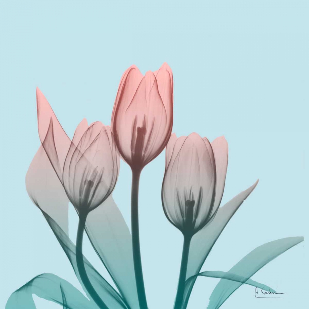 Awakening Tulips 2 art print by Albert Koetsier for $57.95 CAD