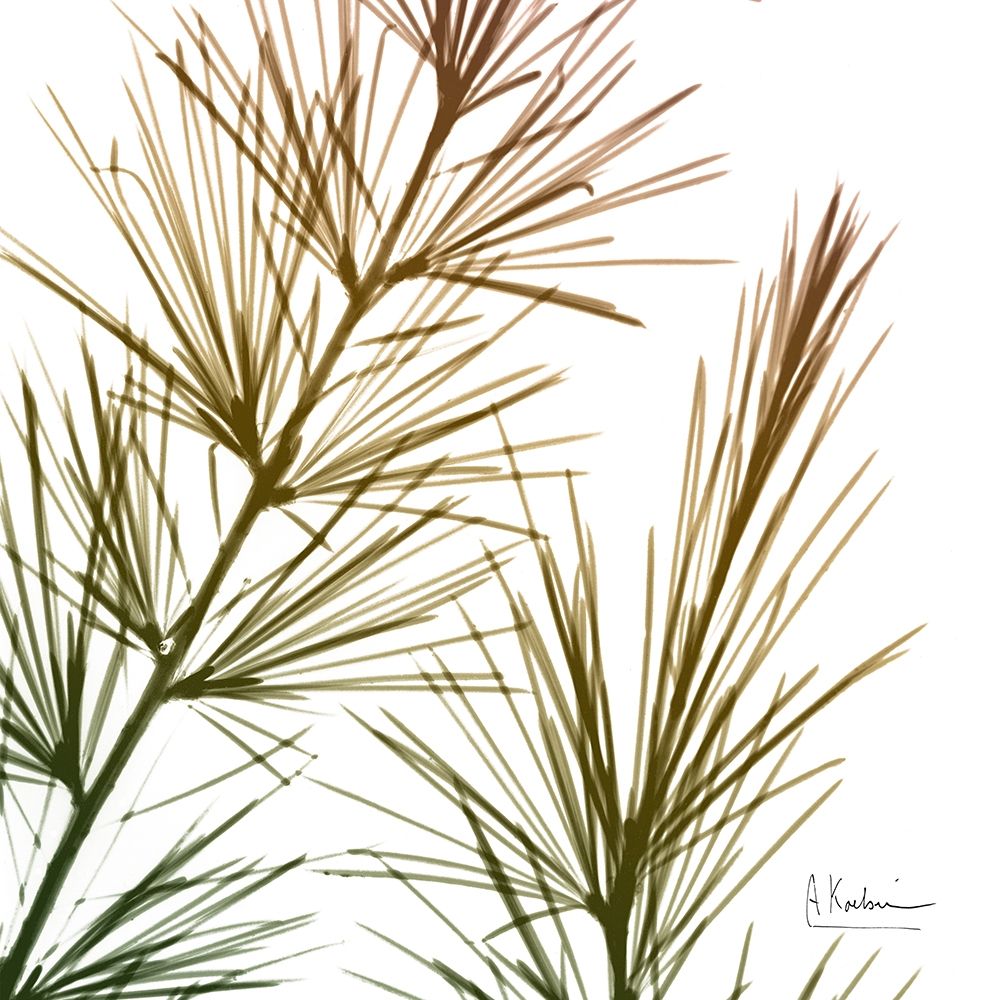 Fall Sequoia art print by Albert Koetsier for $57.95 CAD