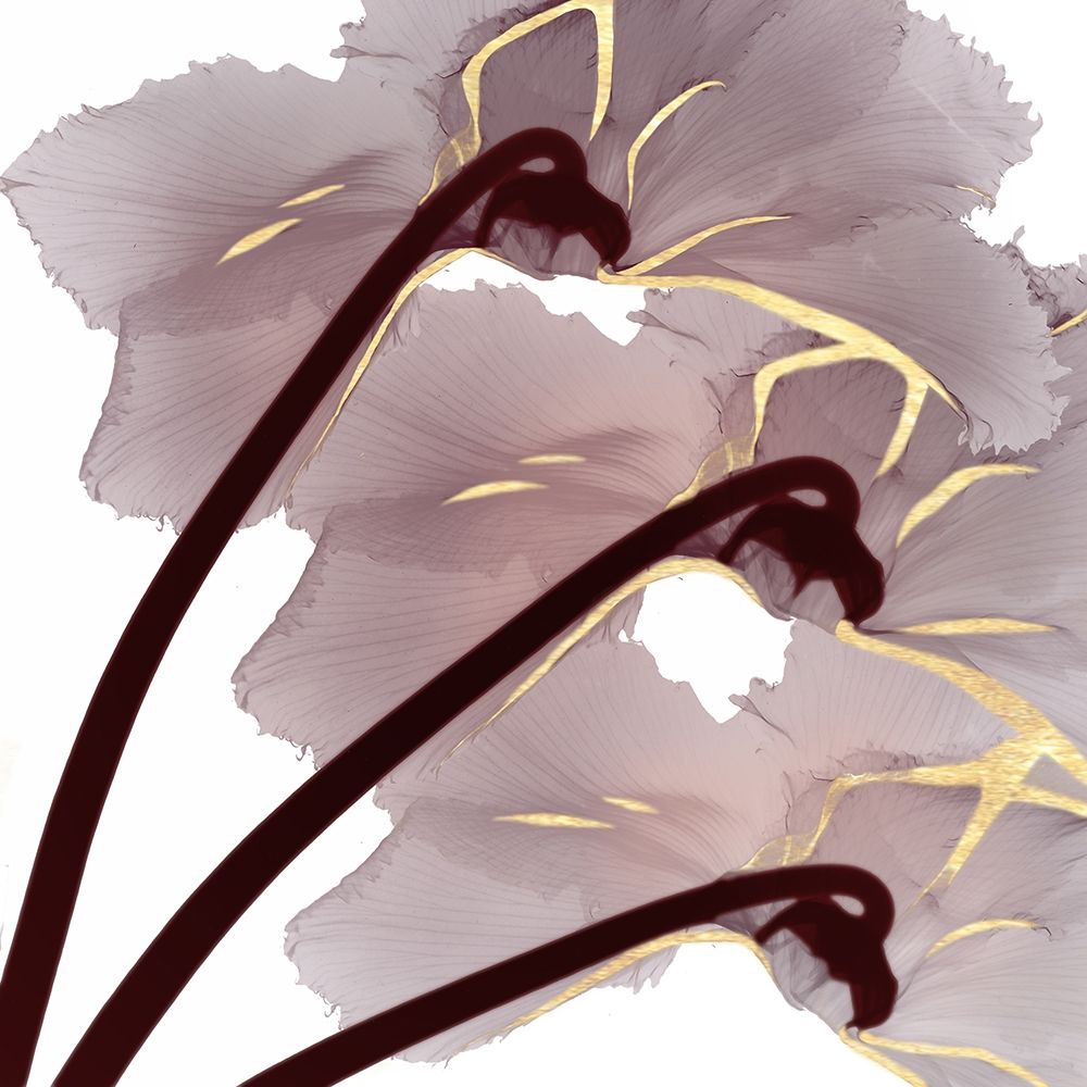 Luscious Bouquet 1 art print by Albert Koetsier for $57.95 CAD