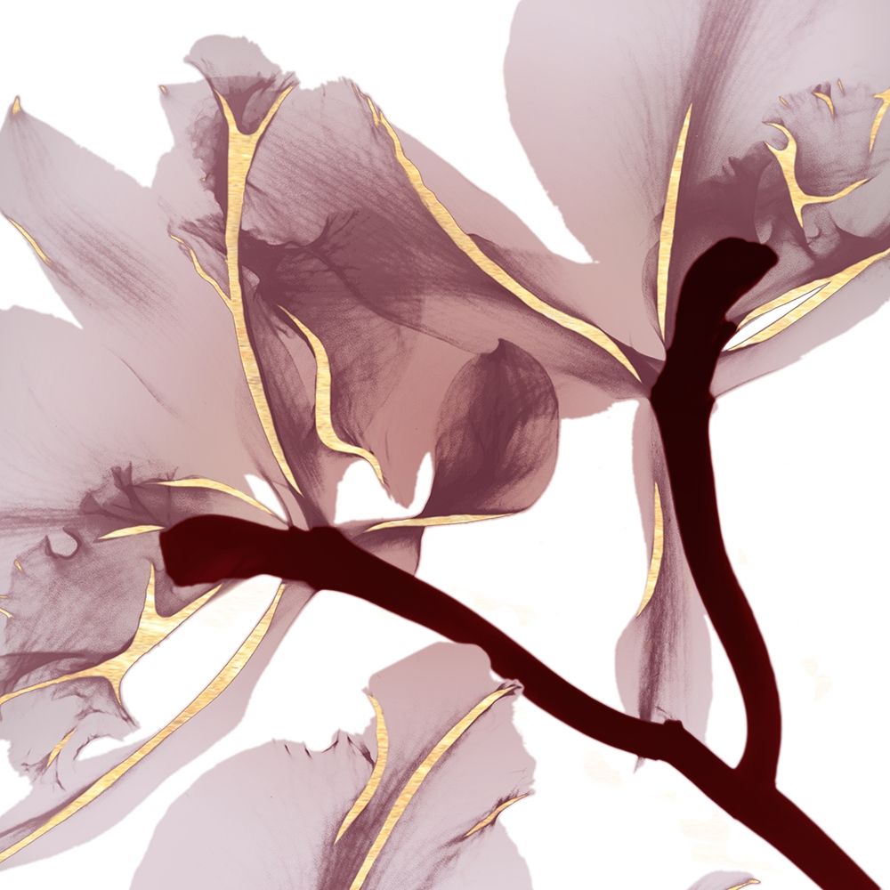 Luscious Bouquet 2 art print by Albert Koetsier for $57.95 CAD