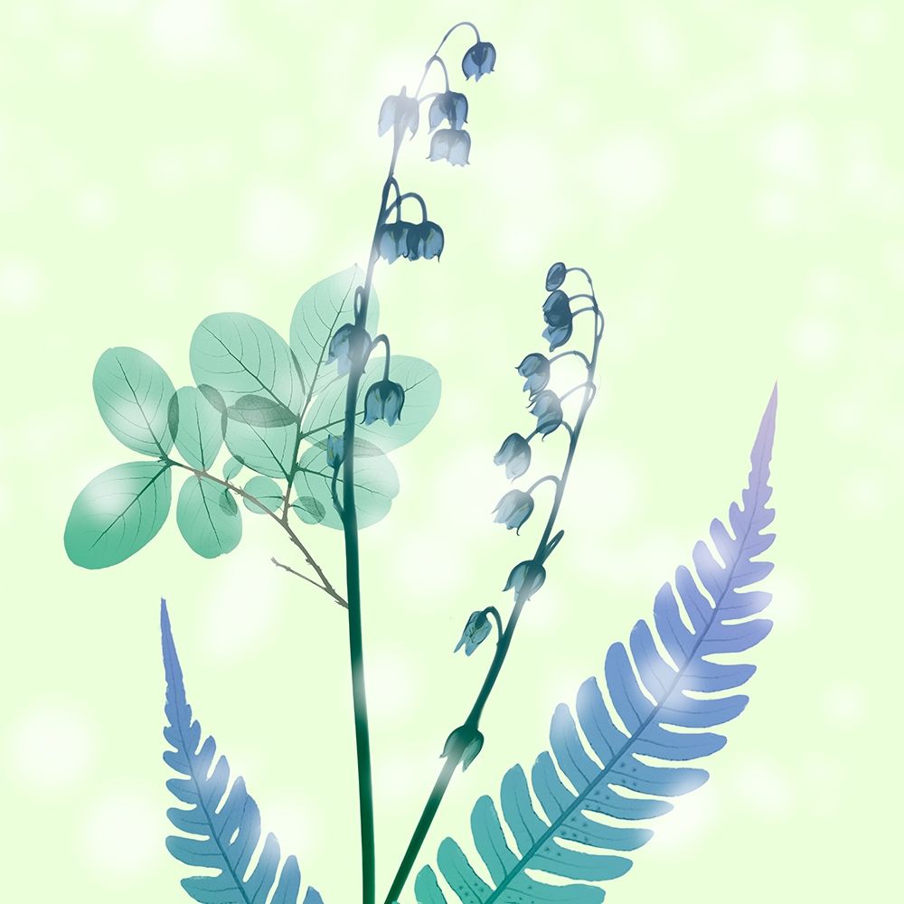 Brilliant Bloom art print by Albert Koetsier for $57.95 CAD