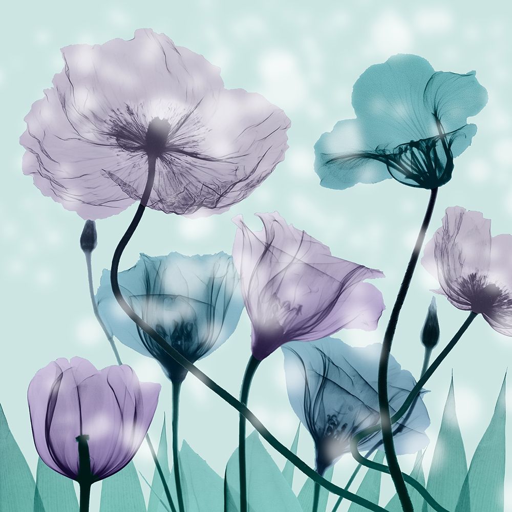 Midnight Flowerscape art print by Albert Koetsier for $57.95 CAD