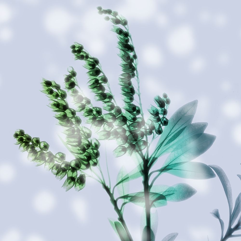 Simply Misty art print by Albert Koetsier for $57.95 CAD