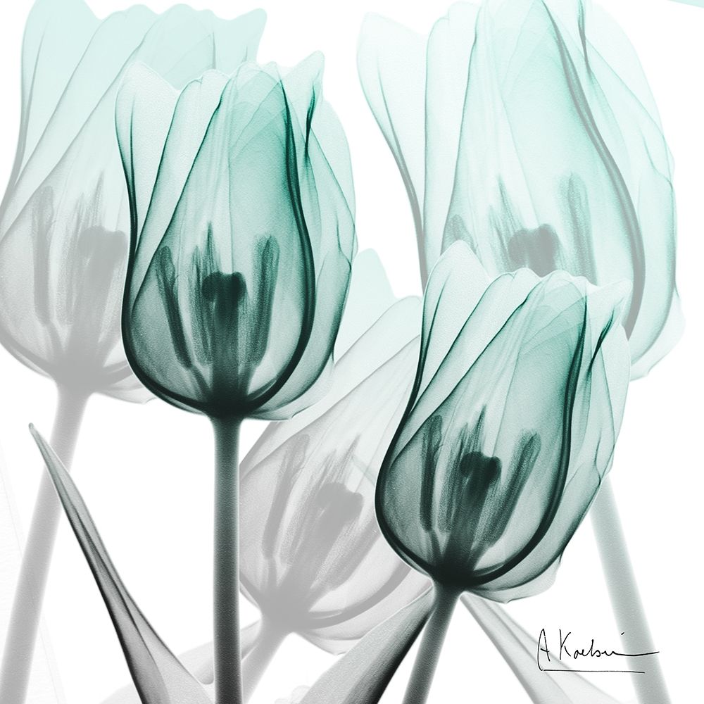Sky Infused Duo art print by Albert Koetsier for $57.95 CAD