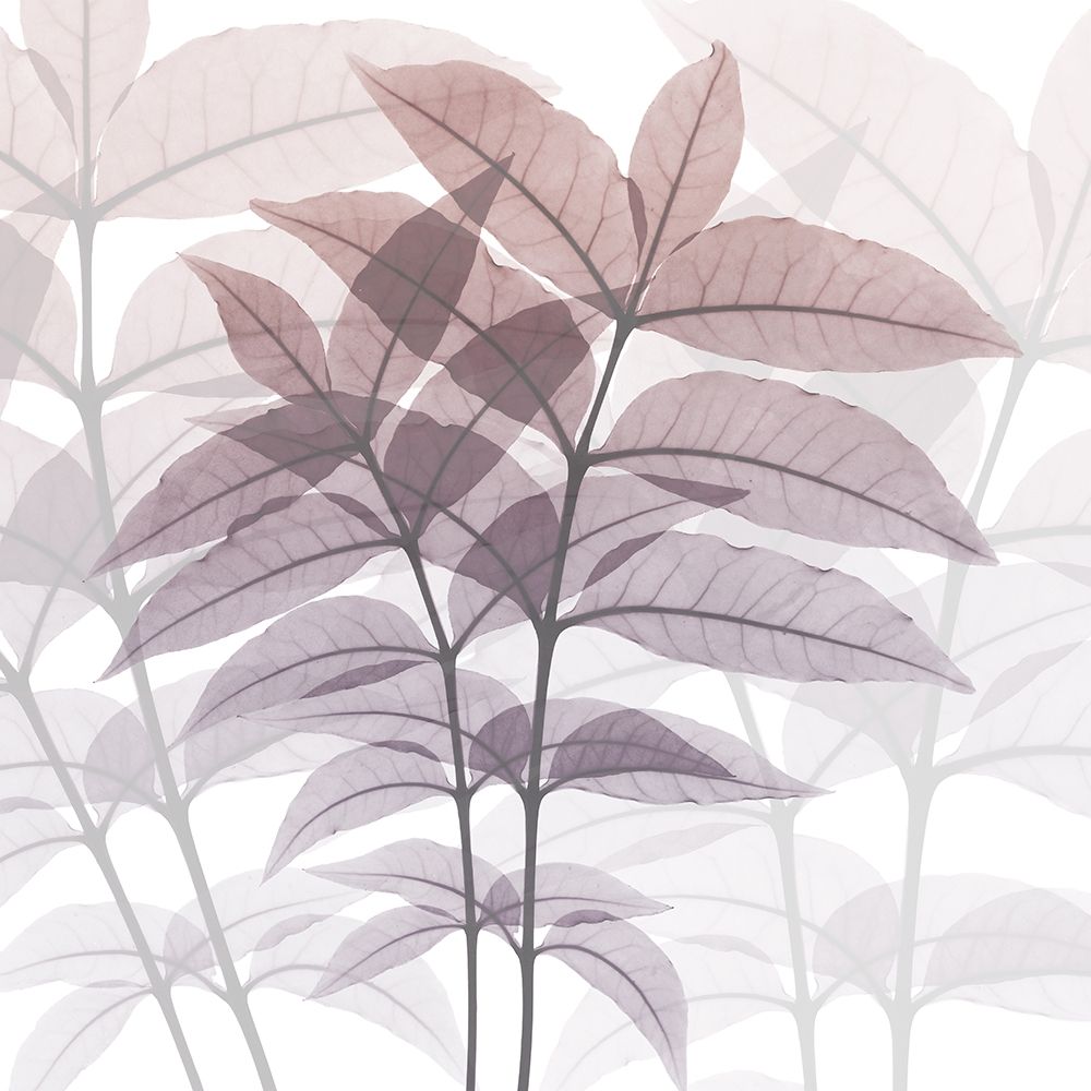 Eternal Bloom art print by Albert Koetsier for $57.95 CAD
