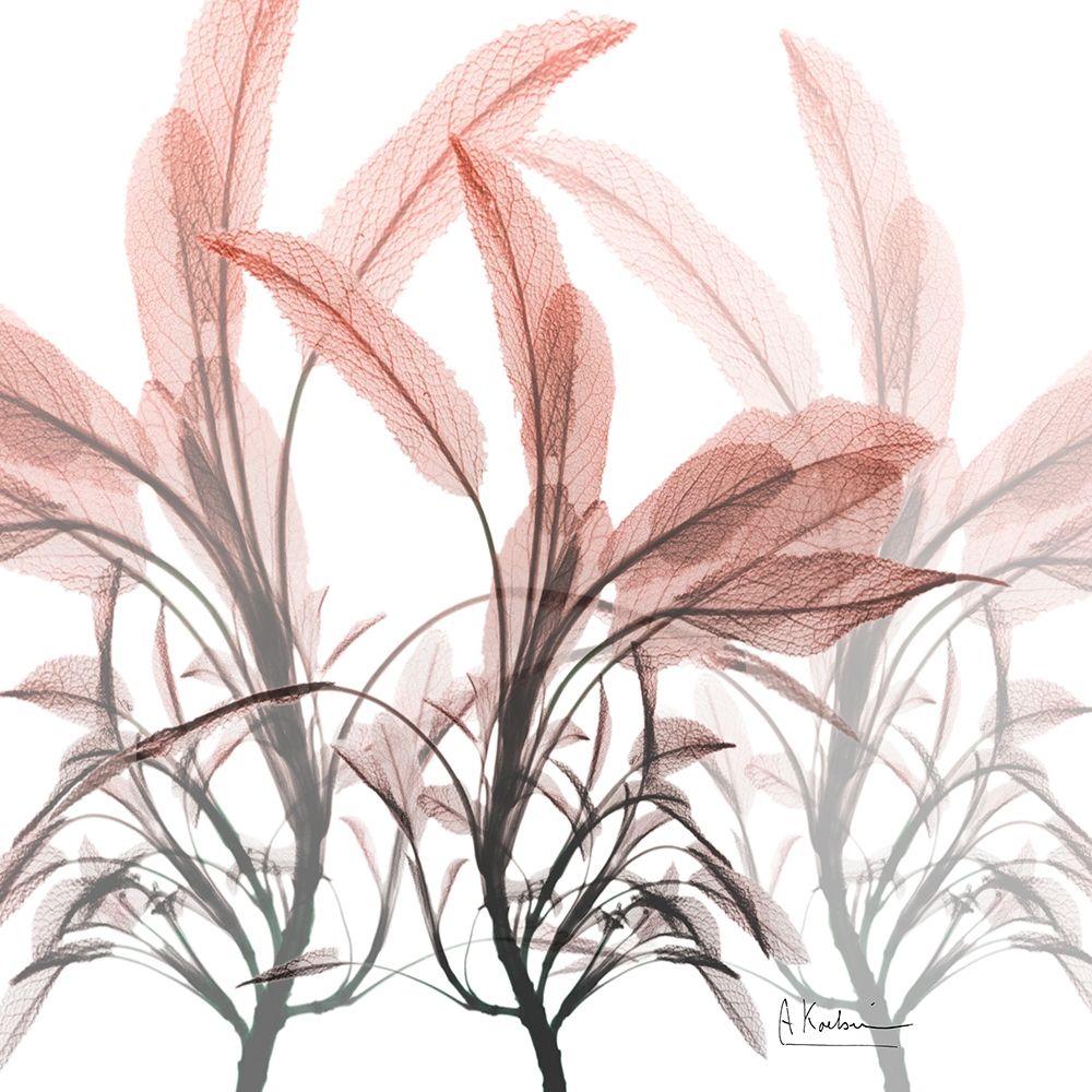 Plentiful Extract art print by Albert Koetsier for $57.95 CAD