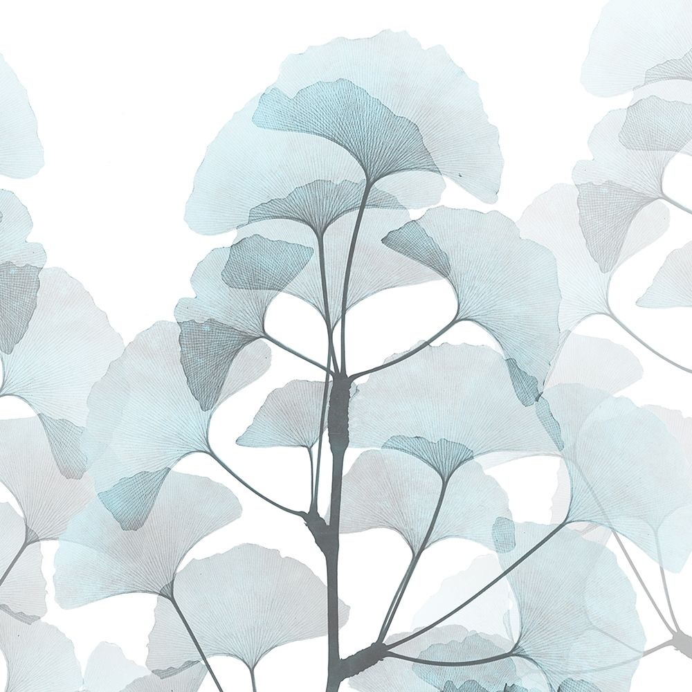 Glassy Ginko art print by Albert Koetsier for $57.95 CAD