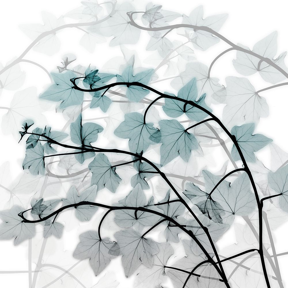 Icy Transformation art print by Albert Koetsier for $57.95 CAD