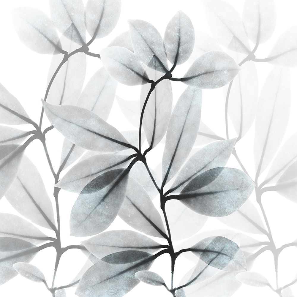 Frosted Desires art print by Albert Koetsier for $57.95 CAD
